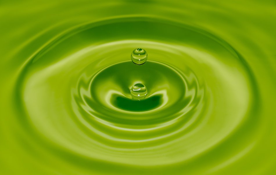 chlorofil w płynie